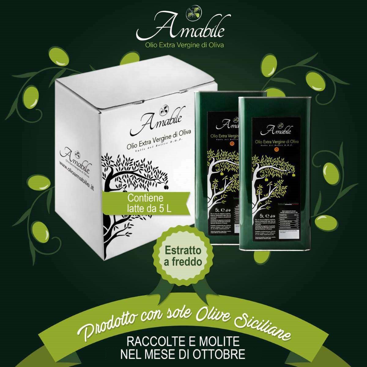 Offerta Promozionale - Box 2 Lattine da 5 Litri di Olio EVO Siciliano della Nocellara del Belice